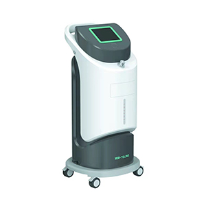 Dry mist hydrogen peroxide disinfection machine Teling TL-D300